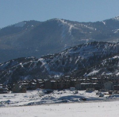 Bear Hollow